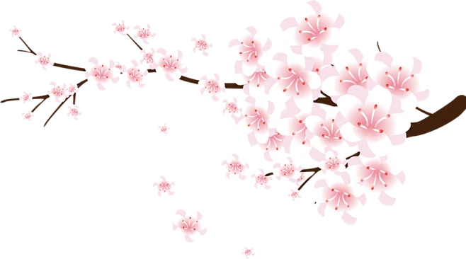 【PNG素材网-png.mixinnet.cn】雨水 杏花