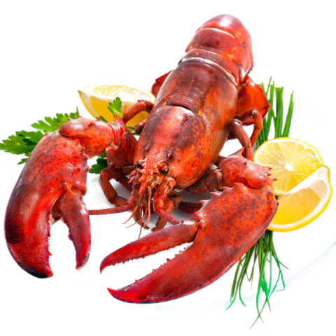 【PNG素材网-png.mixinnet.cn】小龙虾