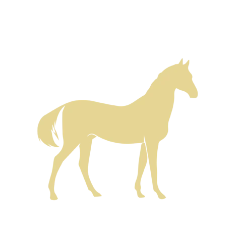 【PNG素材网-png.mixinnet.cn】马