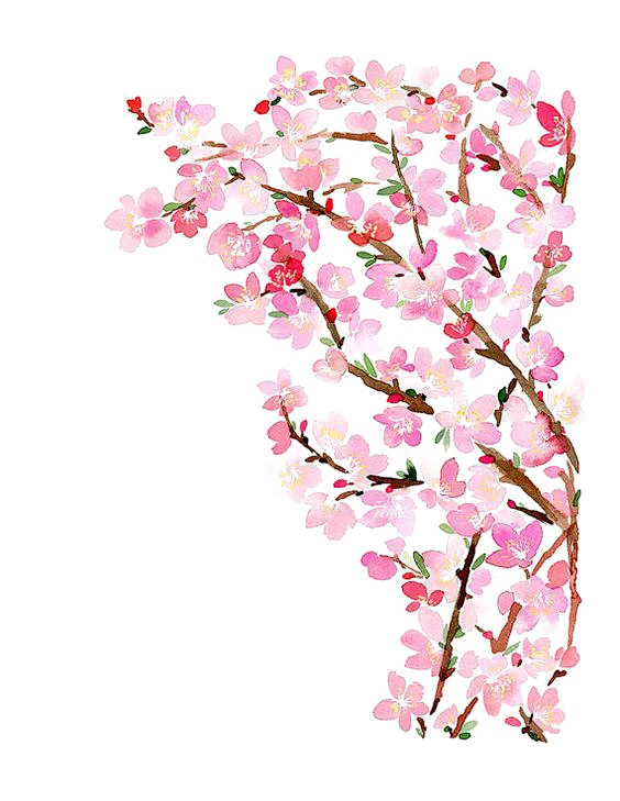 【PNG素材网-png.mixinnet.cn】古风唯美水彩手绘粉色桃花树花朵PNG素材网花枝PNG免扣透明设计素材