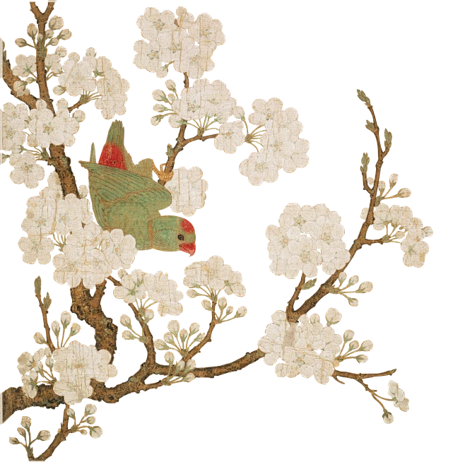 【PNG素材网-png.mixinnet.cn】宋 梨花鹦鹉图 27