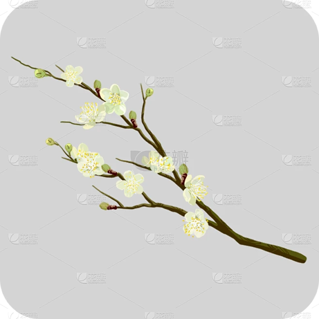 【PNG素材网-png.mixinnet.cn】手绘白色梨花花卉植物元素