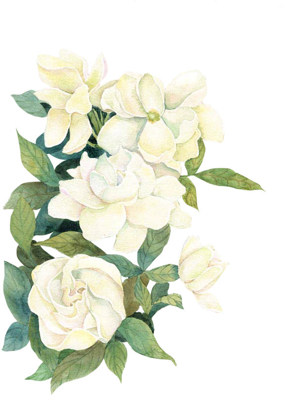 【PNG素材网-png.mixinnet.cn】【素材】全png，古风_做图吧_百度贴吧