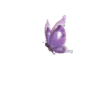 【PNG素材网-png.mixinnet.cn】大蝴蝶