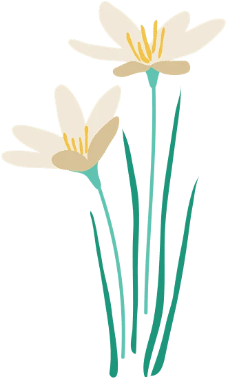 【PNG素材网-png.mixinnet.cn】Abstract Organic Autumn Zephyr Lily Flower