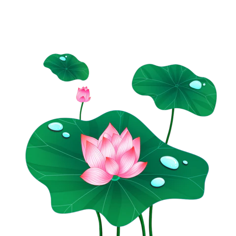 【PNG素材网-png.mixinnet.cn】手绘荷花