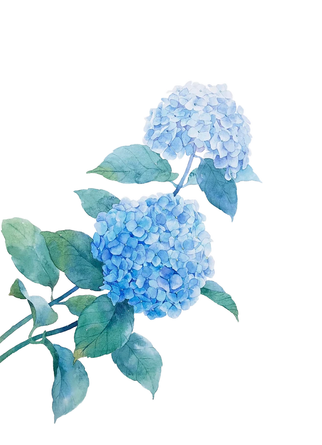【PNG素材网-png.mixinnet.cn】95a675d719bfc94f95ff9264de5392