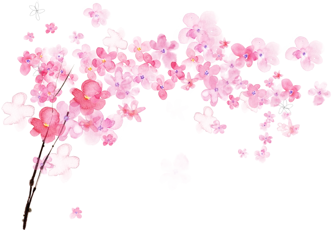 【PNG素材网-png.mixinnet.cn】古风唯美水彩手绘粉色桃花树花朵PNG素材网花枝PNG免扣透明设计素材