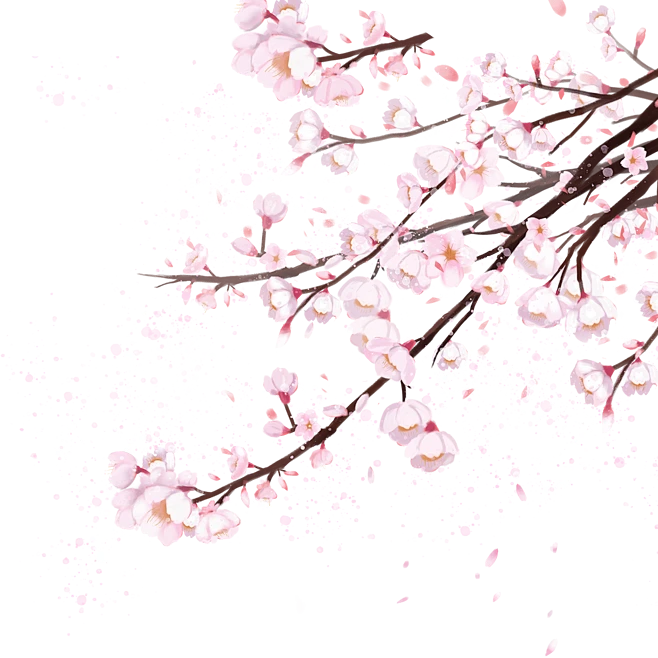 【PNG素材网-png.mixinnet.cn】雨水 杏花