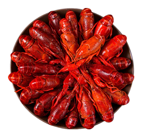 【PNG素材网-png.mixinnet.cn】小龙虾