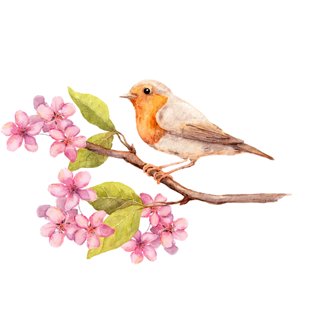 【PNG素材网-png.mixinnet.cn】古风手绘插画素材PNG转身从容煎茶 (1)