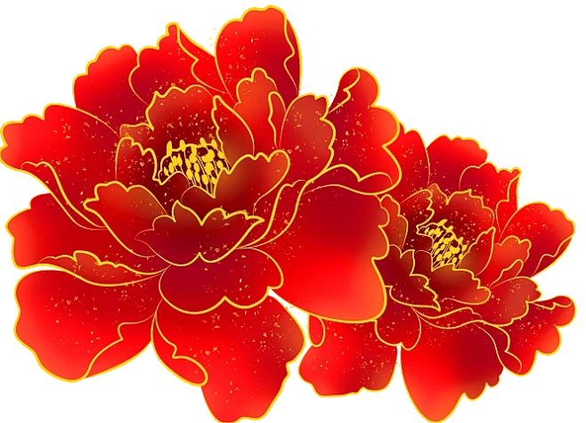 【PNG素材网-png.mixinnet.cn】76d79e063d33ae2b1b9250d5be577e49614a2f5a1cf9d7-5TuNHY