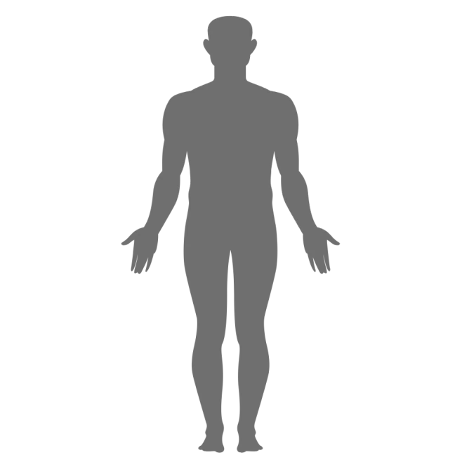 【PNG素材网-png.mixinnet.cn】18