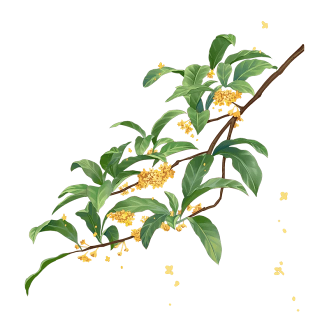 【PNG素材网-png.mixinnet.cn】f8f0ccce6dc8a264920677e855f69ed2