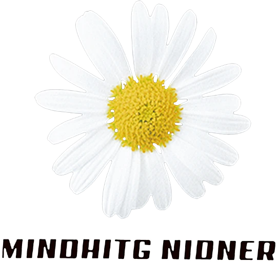 【PNG素材网-png.mixinnet.cn】A1530 字母菊花