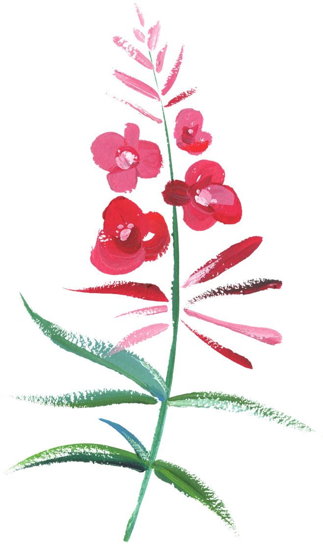 【PNG素材网-png.mixinnet.cn】MeadowElements_02