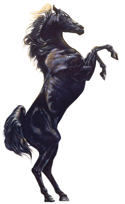 【PNG素材网-png.mixinnet.cn】宇宙素材 (251)