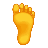 【PNG素材网-png.mixinnet.cn】脚(240 x 240)