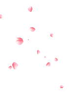 【PNG素材网-png.mixinnet.cn】GIF动图