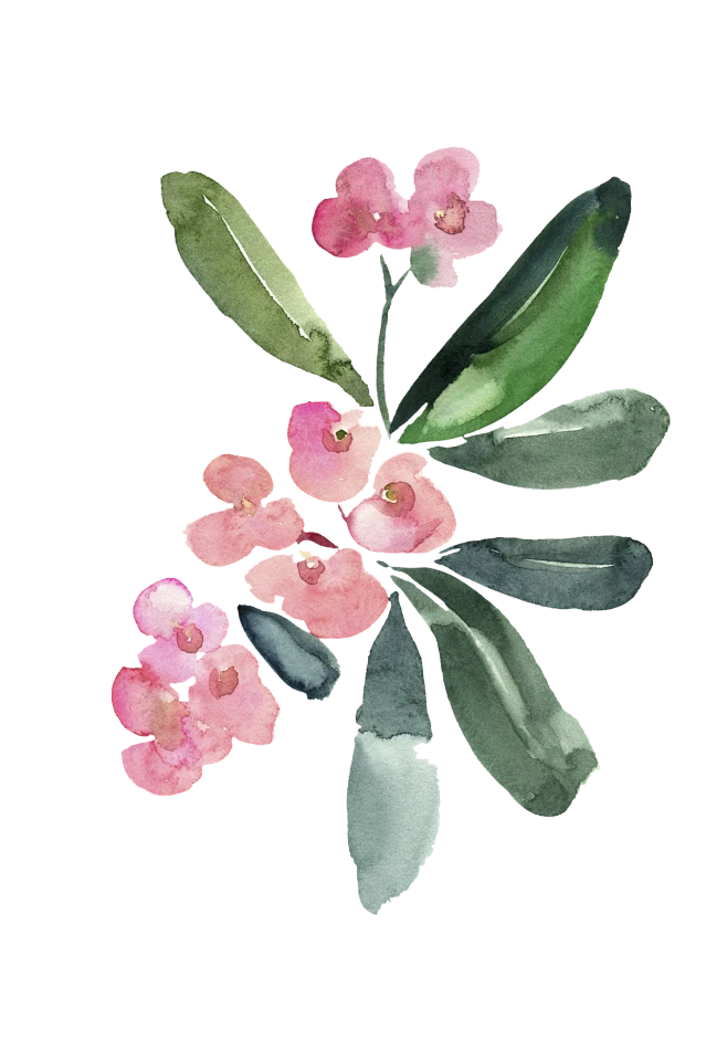 【PNG素材网-png.mixinnet.cn】文艺手绘仙人掌花卉植物设计素材