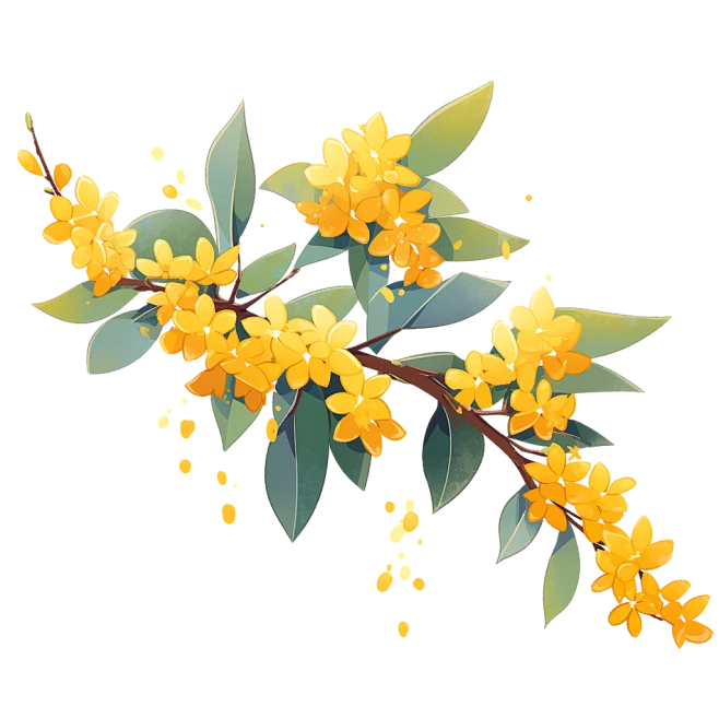 【觅图网-pic.51mitu.com】秋分 桂花