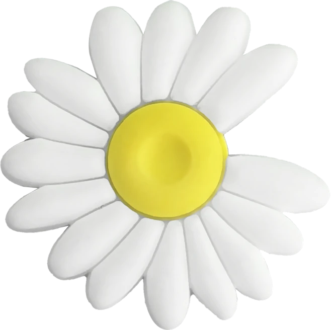【PNG素材网-png.mixinnet.cn】白菊花