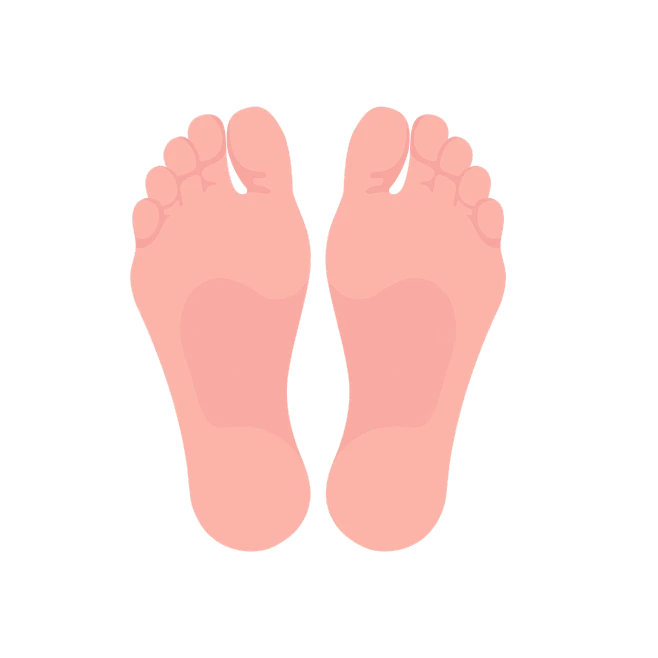 【PNG素材网-png.mixinnet.cn】足底