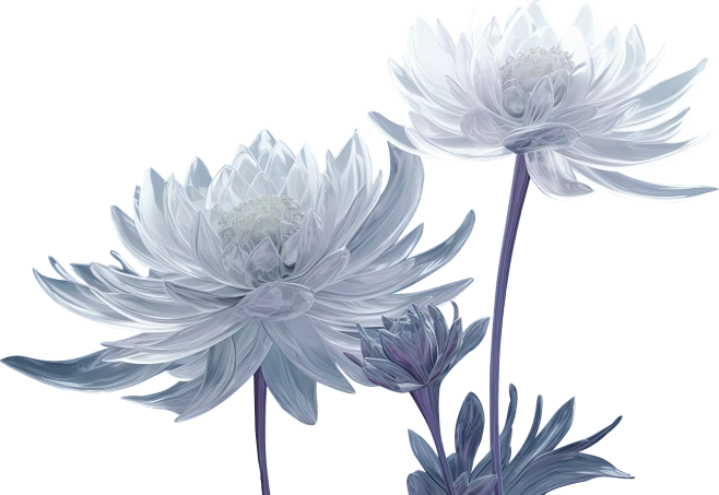 【PNG素材网-png.mixinnet.cn】花 玻璃花 ai 菊花