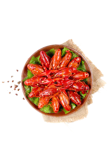 【PNG素材网-png.mixinnet.cn】龙虾