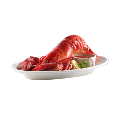 【PNG素材网-png.mixinnet.cn】小龙虾