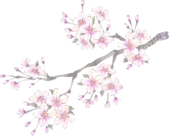 【PNG素材网-png.mixinnet.cn】古风唯美水彩手绘粉色桃花树花朵PNG素材网花枝PNG免扣透明设计素材