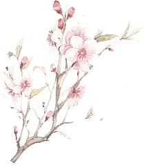 【PNG素材网-png.mixinnet.cn】花 png@北坤人素材