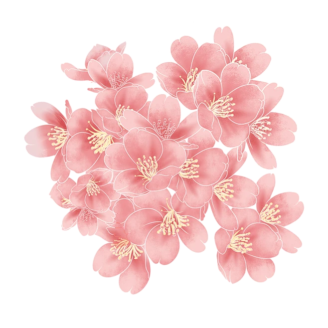 【觅图网-pic.51mitu.com】海棠花