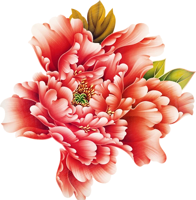 【PNG素材网-png.mixinnet.cn】牡丹花 PNG免抠元素