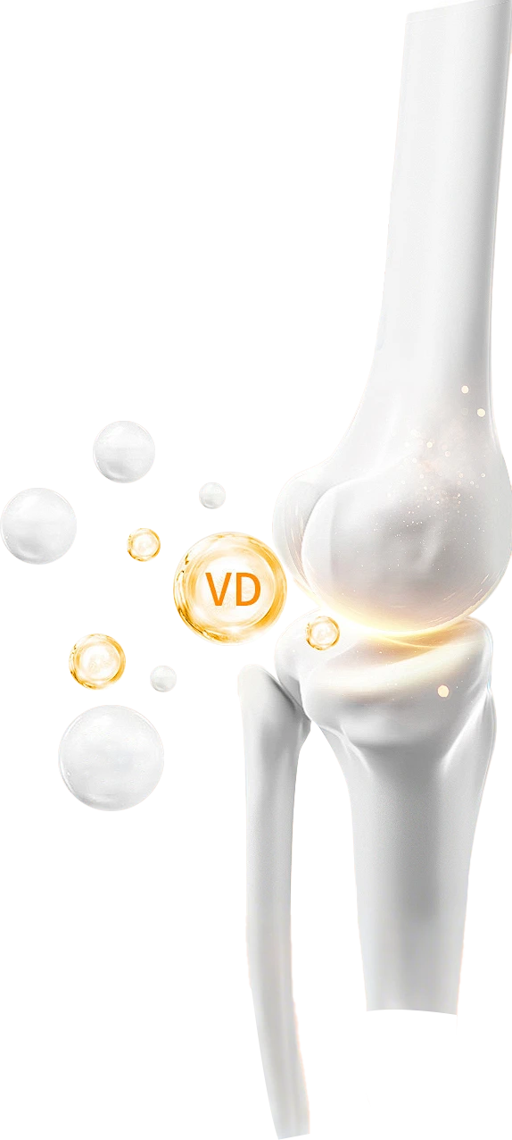 【PNG素材网-png.mixinnet.cn】骨头 关节 膝盖