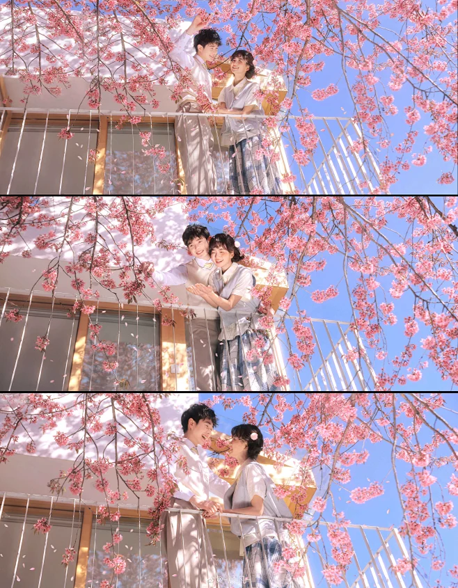 【PNG素材网-png.mixinnet.cn】006fiHeEly1haoi1zuimyj366k7xzkjp.jpg (8012×10295)