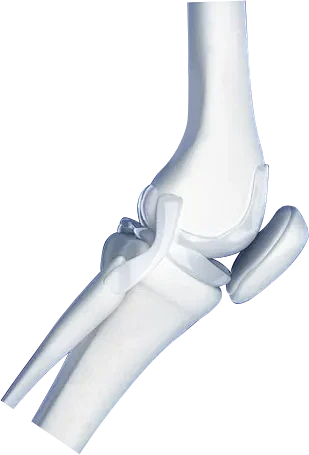 【PNG素材网-png.mixinnet.cn】医疗系列人体骨骼