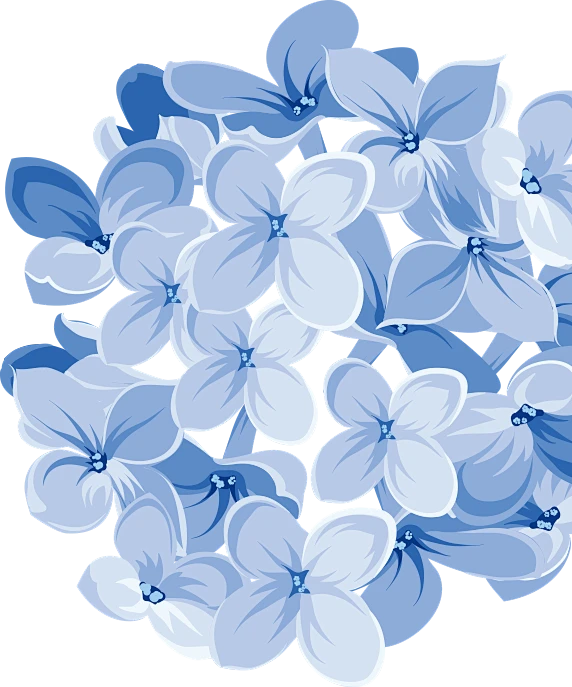 【觅图网-pic.51mitu.com】png-蓝色花1