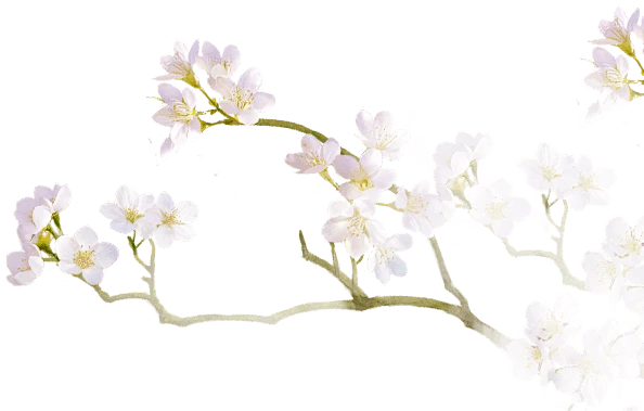 【PNG素材网-png.mixinnet.cn】tree_front_03.png (594×379)