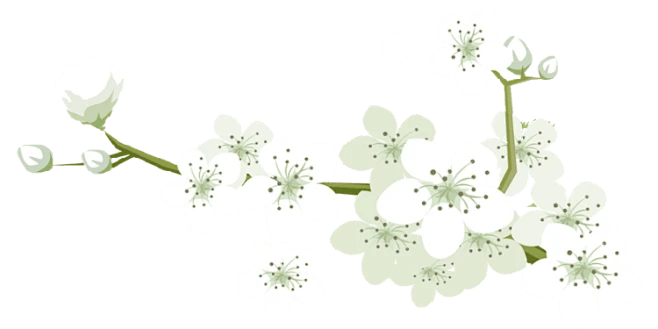 【PNG素材网-png.mixinnet.cn】680704235.png