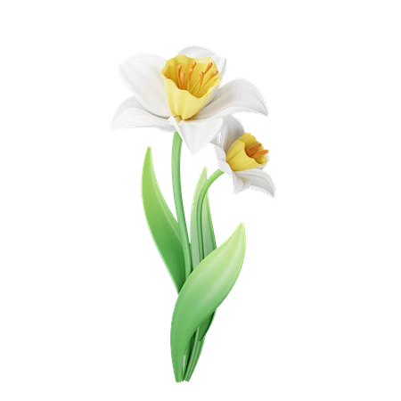 【PNG素材网-png.mixinnet.cn】PNG素材：水仙花