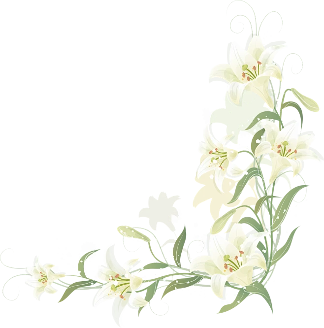 【PNG素材网-png.mixinnet.cn】简水仙花