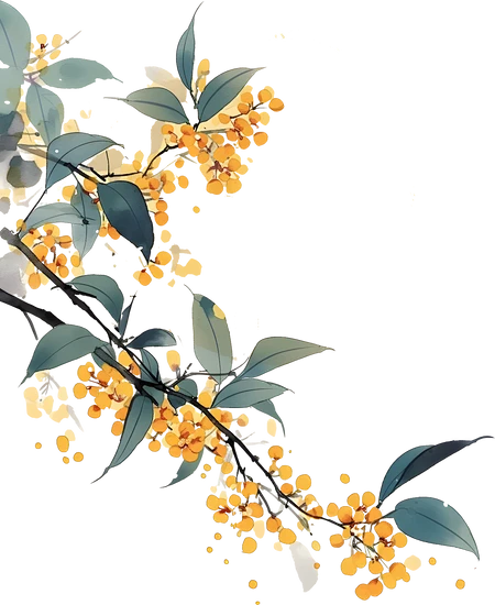 【PNG素材网-png.mixinnet.cn】水墨风花卉插画-桂花