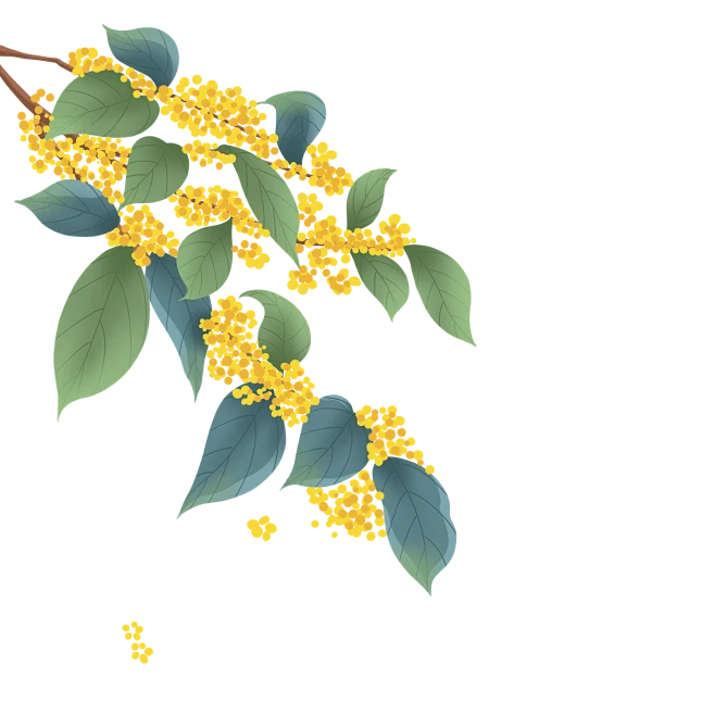 【PNG素材网-png.mixinnet.cn】金秋 手绘桂花素材