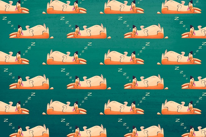 【PNG素材网-png.mixinnet.cn】Corgi Patterns : Corgi pattern