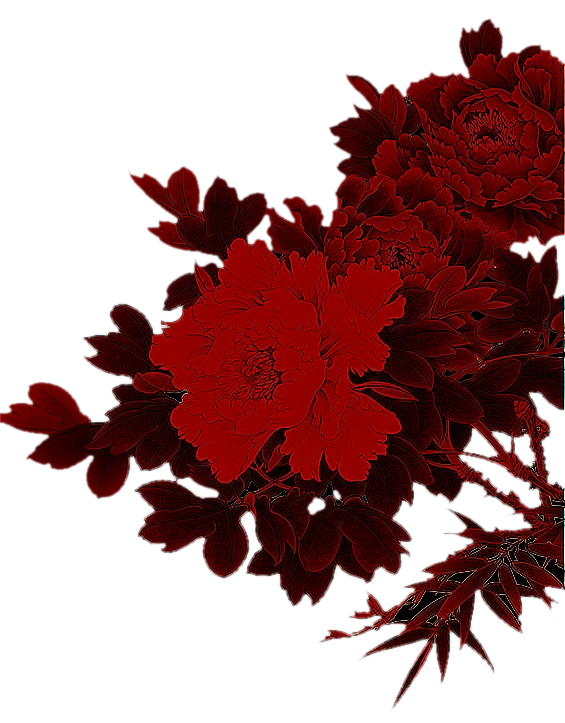 【PNG素材网-png.mixinnet.cn】PNG免抠牡丹花素材 - 红嘴绿鹦哥 - 精品采撷苑