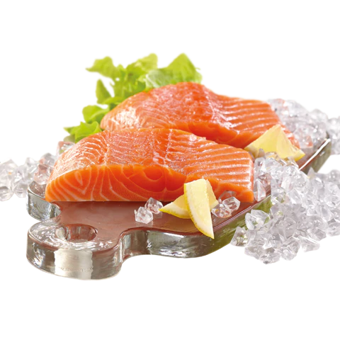 【PNG素材网-png.mixinnet.cn】冰冻三文鱼片