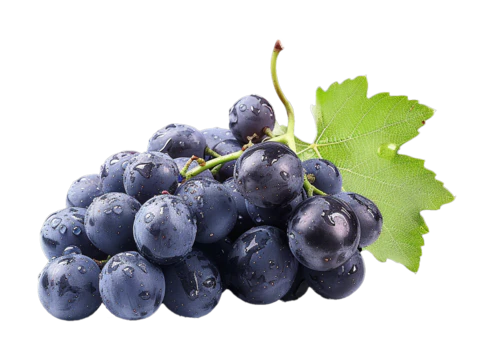 【PNG素材网-png.mixinnet.cn】蓝色互联网地球圆形星球航空线条纹理元素