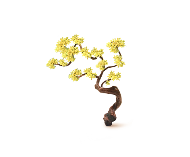 【PNG素材网-png.mixinnet.cn】桂花树