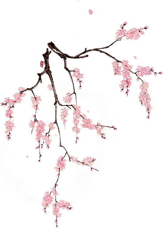 【PNG素材网-png.mixinnet.cn】桃花枝